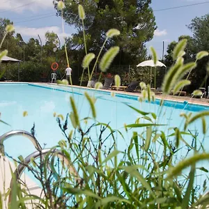 Inout Hostel La Floresta Pearson